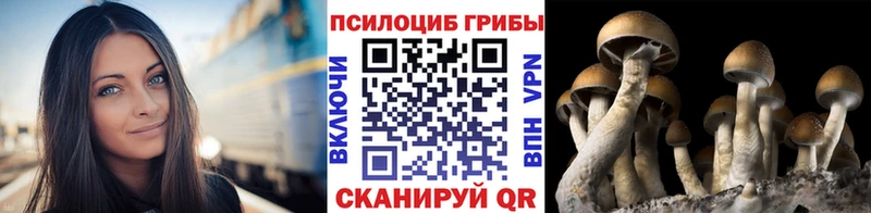 Галлюциногенные грибы MAGIC MUSHROOMS  Купить где  Суворов 